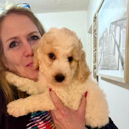 Milky Way - Parti male Goldendoodle puppy in Pensacola, Florida from Goldendoodles Love You in Pensacola Friend Edition