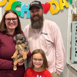 Eerie • Pink Collar Girl - Bernedoodle puppy from Pear Tree Poodles & Doodles