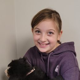 Bernese Mountain Dog Puppies from Muddy Paw Acres