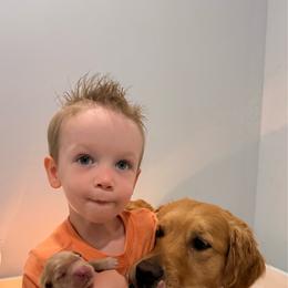 Boy 3 - Golden male Golden Retriever puppy in Salt Lake City, Utah from Soaring golden retrievers