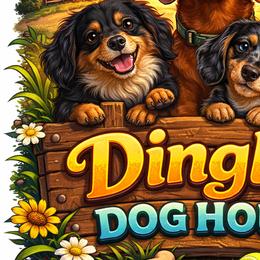 Dachshunds from Dingle’s Dog House