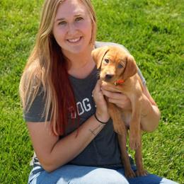 Labrador Retriever Puppies from TK Hot Kennels