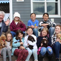 Australian Labradoodle Puppies from EllsWORTH Labradoodles LLC