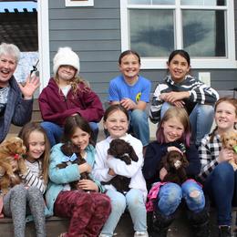 Australian Labradoodle Puppies from EllsWORTH Labradoodles LLC