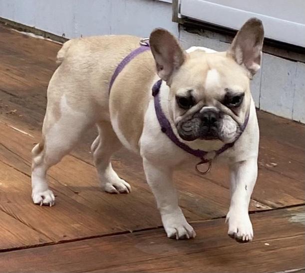 Esther