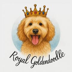 Goldendoodles from Royal Goldendoodle