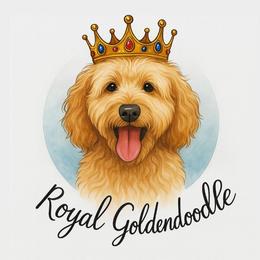 Goldendoodles from Royal Goldendoodle