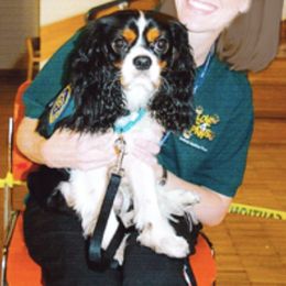 Cavalier King Charles Spaniels from King William Pet Resort