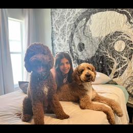 Goldendoodle Puppies from The Doodle House