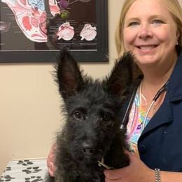 Belgian Malinois, Black Russian Terriers, Dutch Shepherds, Poodles, and Rottweilers from Louisov Kennel