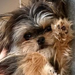 Frankie - Mi-Ki