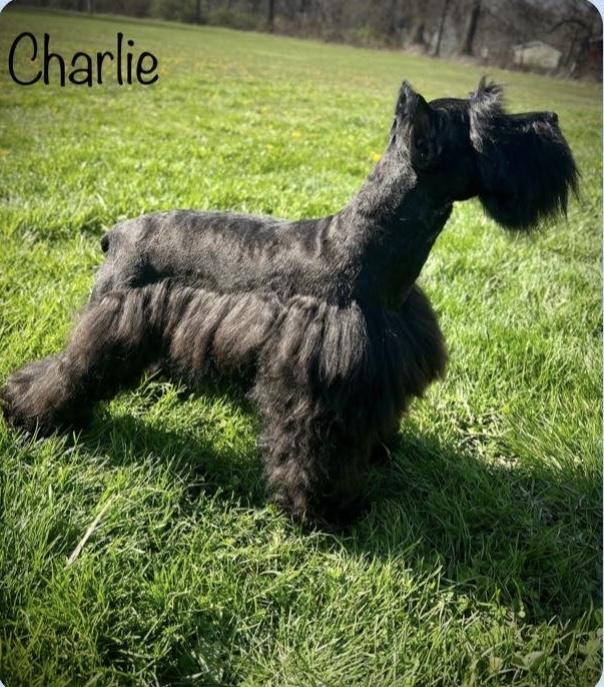 Charlie
