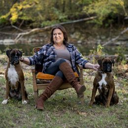 Boxer puppies from Hogan Creek Boxers