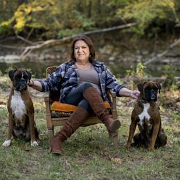 Boxer puppies from Hogan Creek Boxers