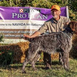 WALKER - Wirehaired Pointing Griffon