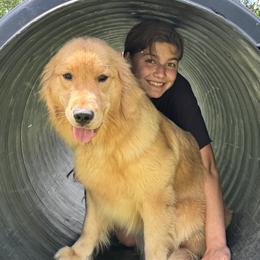 Golden Retriever puppies from Seven Hills Goldens