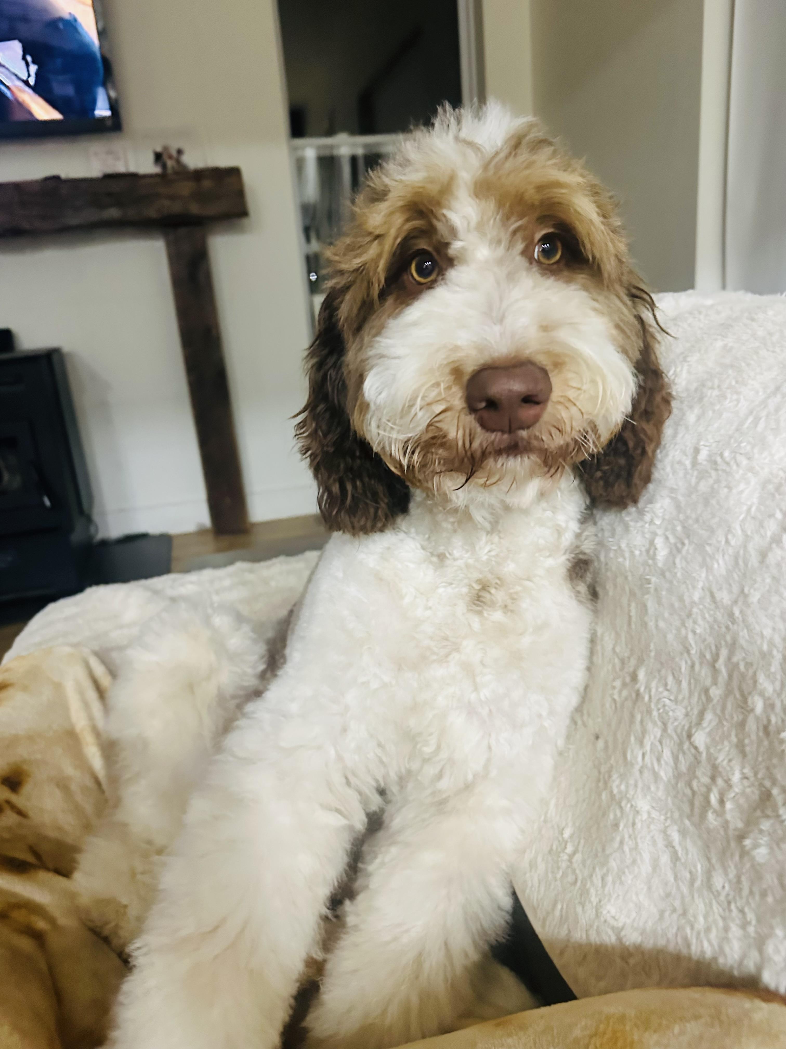 Ruby
