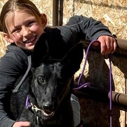 Dutch Shepherds from KBK9 Ranch