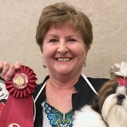 Shih Tzus from Cheryl Strak's Shih Tzus