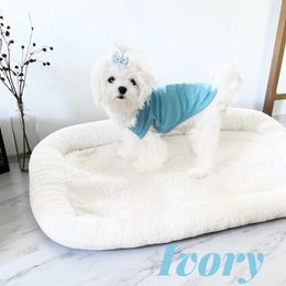Ivory - Maltese