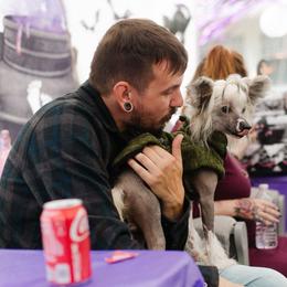 Chinese Crested and Poodle All Grown Up from Amari Miniature Poodles and Chinese Cresteds