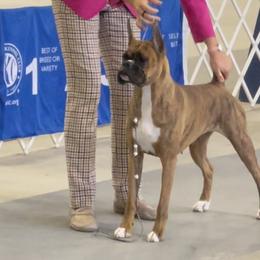 Boxers from Hegerox