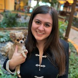 Chihuahua Puppies from Walley Farms