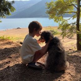 Bernedoodle Puppies from Refined Doodles