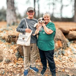 Miniature American Shepherd and Miniature Australian Shepherd Puppies from Whiskeytown Aussies