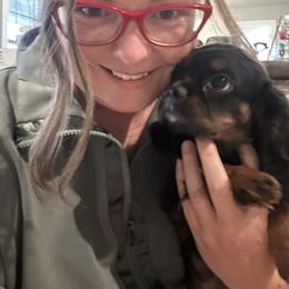 Cavalier King Charles Spaniel Puppies from 5dubs Cavaliers