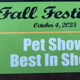 Basset Hounds from Birdsong's Bassets