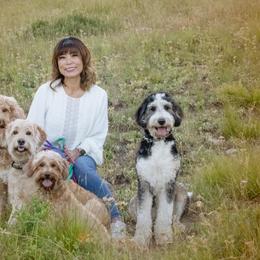 Goldendoodle Puppies from Sunnydoodle Utah