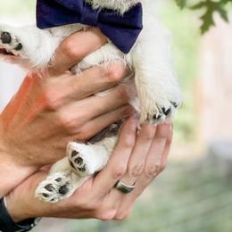 Giant Schnauzers and West Highland White Terriers from Diamond in the Ruff