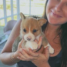 Reba - Sable female Pembroke Welsh Corgi puppy in Ledbetter, Texas from Texas Pembroke Corgis