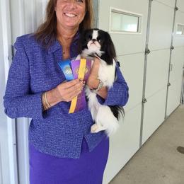 Dora - Japanese Chin