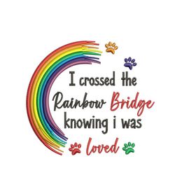 Royal Blue - Black male Giant Schnauzer puppy in Pearland, Texas from K & S Schnauzers