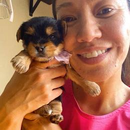 Kanani - Black and tan female Yorkshire Terrier puppy in Stockton, California from Lala & Co.