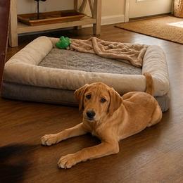 Mable - Yellow female Labrador Retriever puppy in Archer Lodge, North Carolina from Archer Lodge Labradors