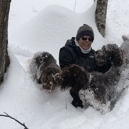Wirehaired Pointing Griffon All Grown Up from Foggy Gap Griffons