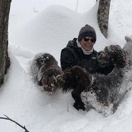 Wirehaired Pointing Griffon All Grown Up from Foggy Gap Griffons