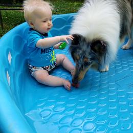 Collie All Grown Up from Grace Mountain Collies
