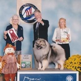 Keeshond All Grown Up from Kathy Dodge