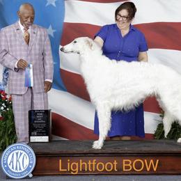 Lightfoot - Borzoi