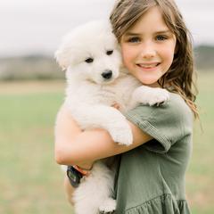 Berger Blanc Suisse Puppies from Edelweiss Berger Blanc Suisse