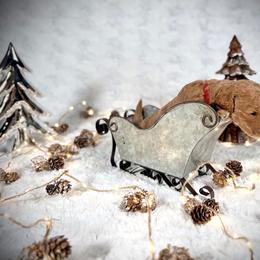 Goldendoodle Puppies from Jeremy Dafoe