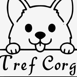 Pembroke Welsh Corgis from Tref Corgi No longer breeding