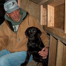 Labrador Retriever Puppies from Sommit Labradors