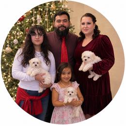 Maltese Puppies from Maltese DFW