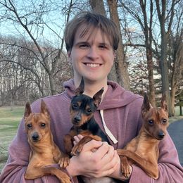 Miniature Pinscher puppies from Valjalu’s Minianture Pinschers