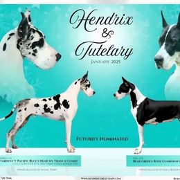 Tuttelary - Great Dane